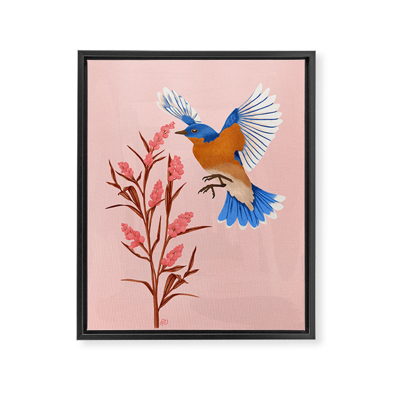 Graceful Bluebird in Flight Framed Canvas Print Gallery Image 6