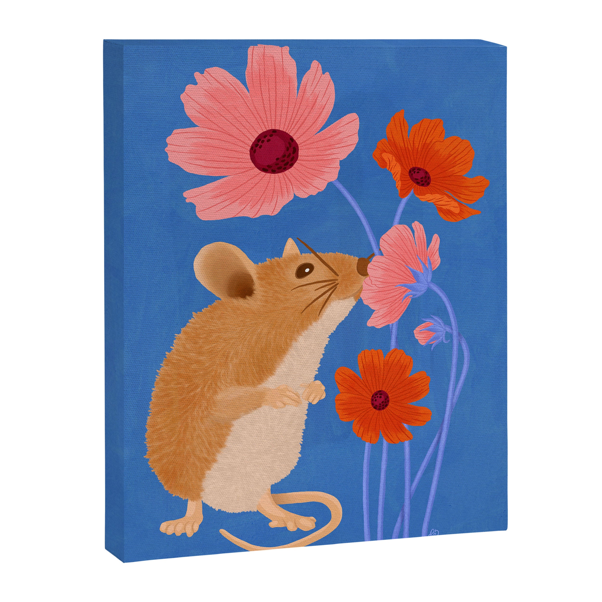 Meadow Mouse and Cosmos Blooms Canvas Print Gallery Image 6