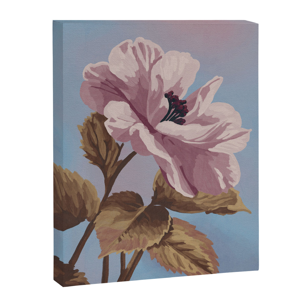 Vintage Begonia Botanical Canvas Print Gallery Image 6