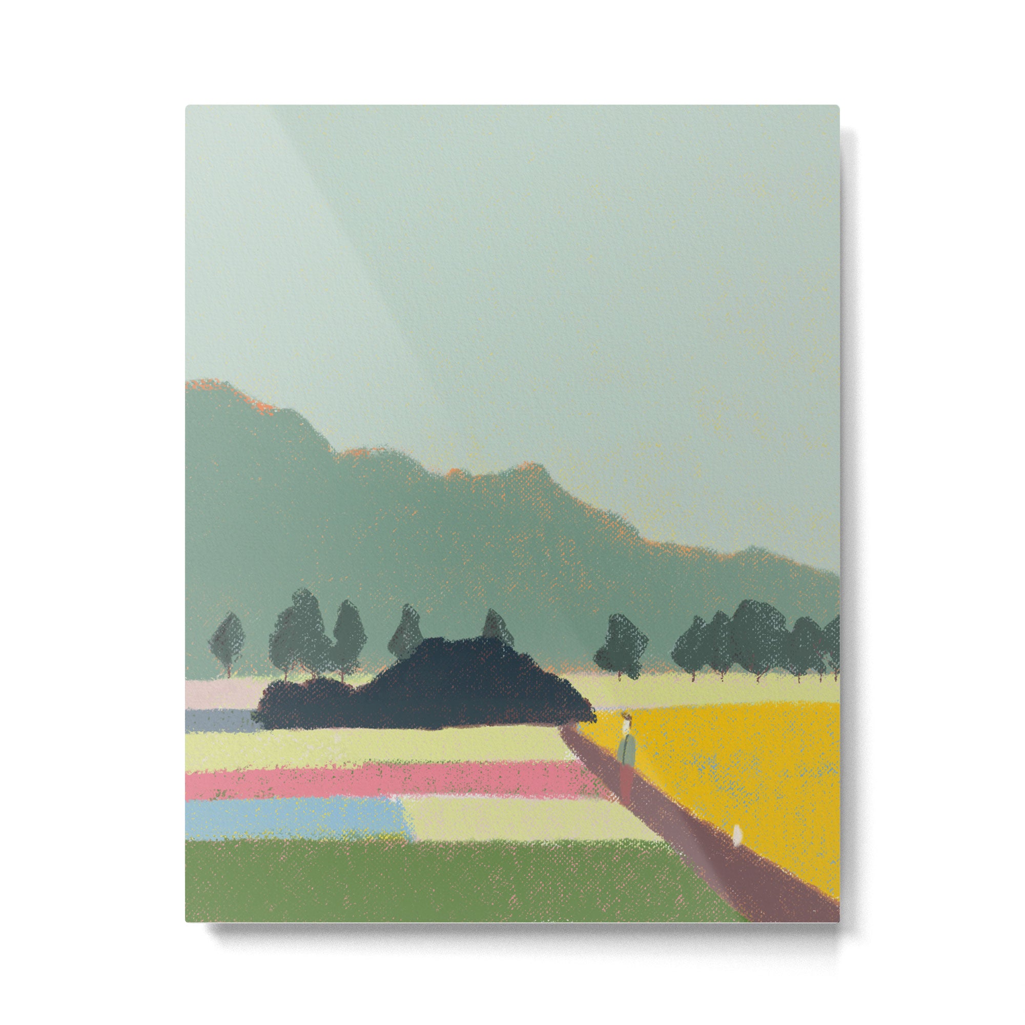 Country part 1 Metal Print Gallery Image 4