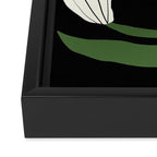 White flowers in black Framed Canvas Print Gallery Image 3
