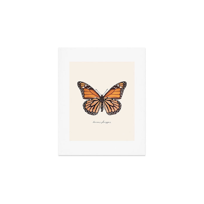 Monarch Butterfly (Danaus Plexippus) Art Print Gallery Image 1