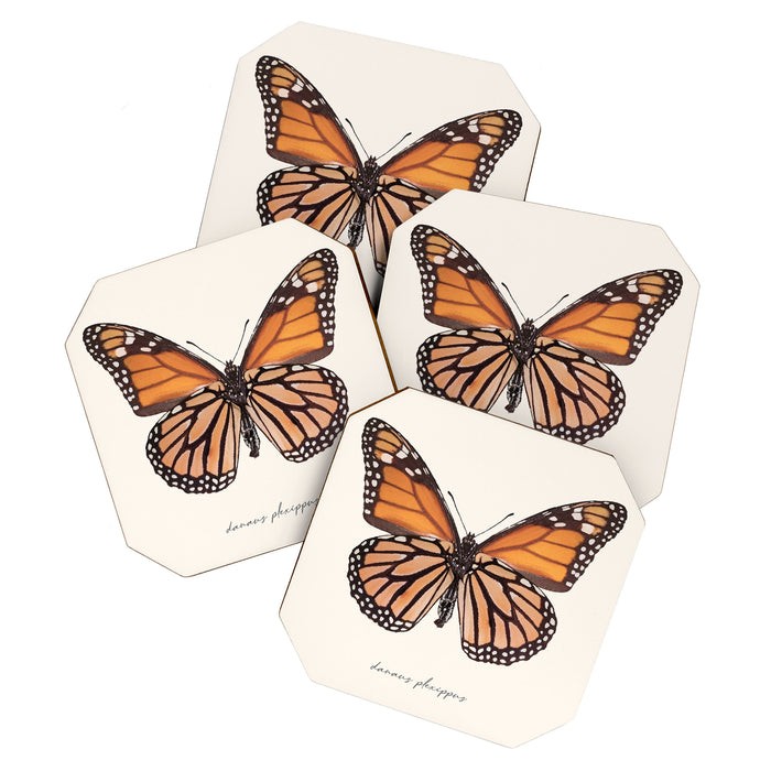 Monarch Butterfly (Danaus Plexippus) Coaster Gallery Image 1