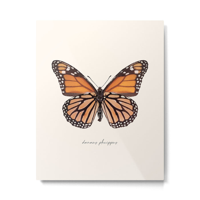 Monarch Butterfly (Danaus Plexippus) Metal Print Gallery Image 1