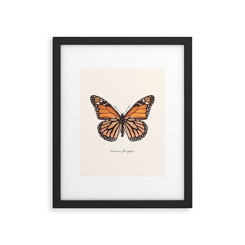 Monarch Butterfly (Danaus Plexippus) Framed Art Print Gallery Image 6