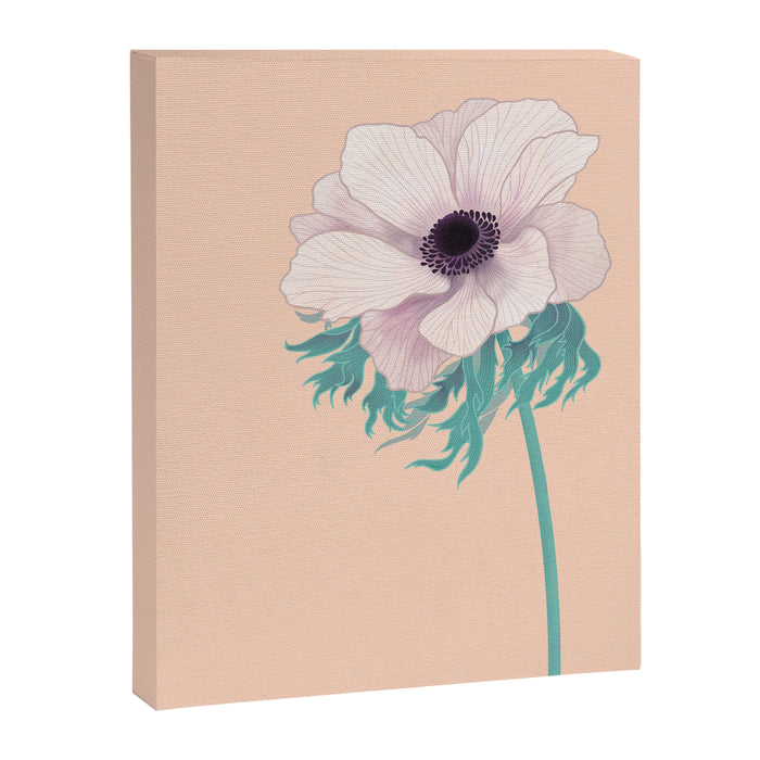 Anemone Flower Canvas Print Gallery Image 1