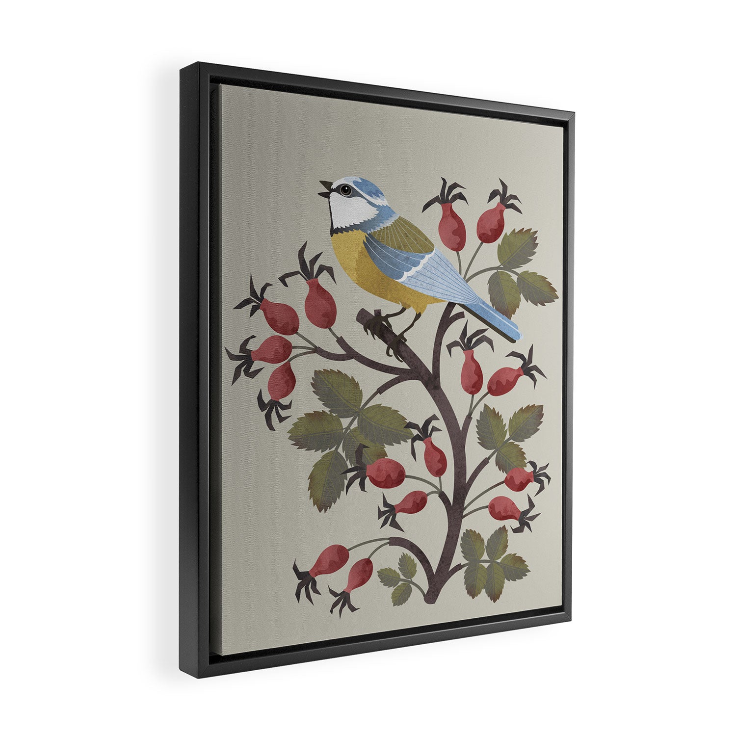 Blue Tit on Red Rose Hips Framed Canvas Print Gallery Image 2