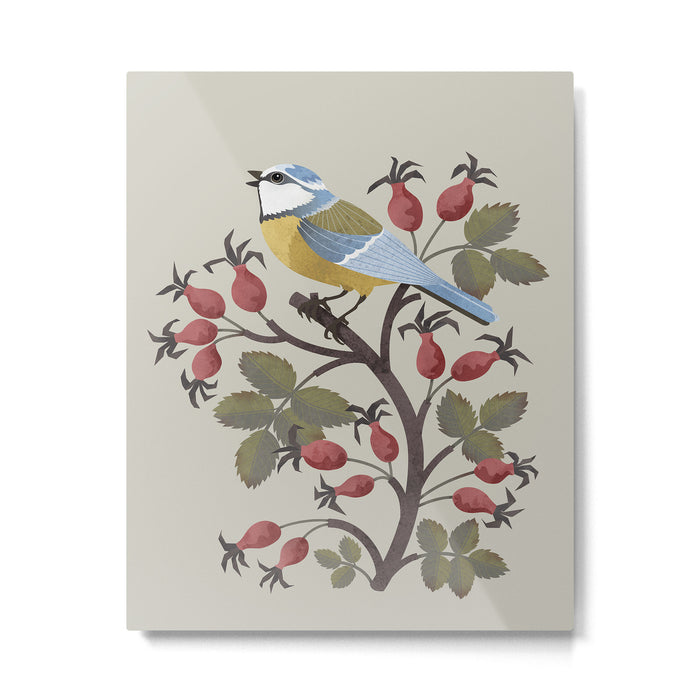 Blue Tit on Red Rose Hips Metal Print Gallery Image 1