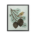 Goldcrest in the Winter Pines Framed Canvas Print Gallery Image 6