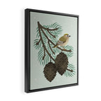 Goldcrest in the Winter Pines Framed Canvas Print Gallery Image 2