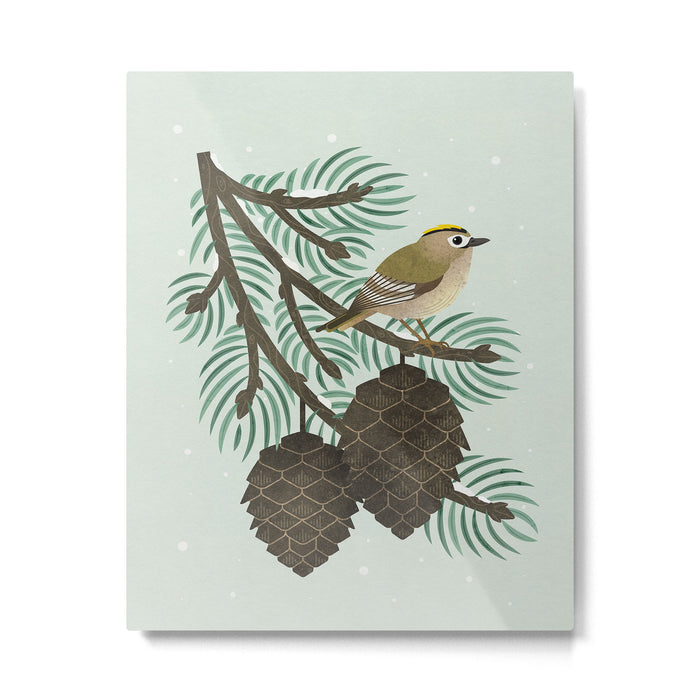 Goldcrest in the Winter Pines Metal Print Gallery Image 1
