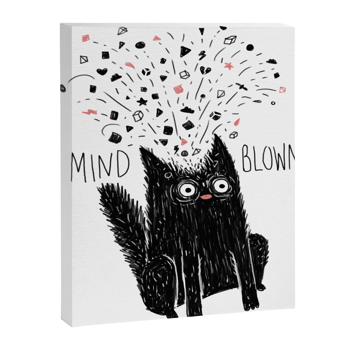 MIND BLOWN. Canvas Print Gallery Image 8