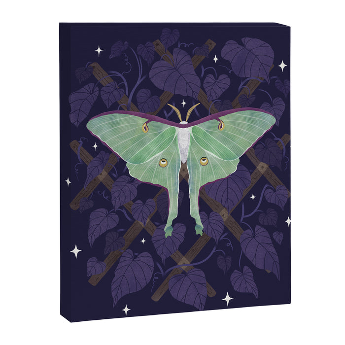 Night Trellis (Luna Moth) Canvas Print Gallery Image 1