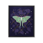 Night Trellis (Luna Moth) Framed Canvas Print Gallery Image 6