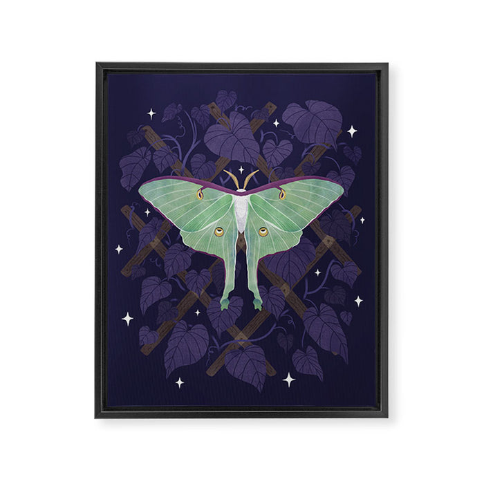 Night Trellis (Luna Moth) Framed Canvas Print Gallery Image 1