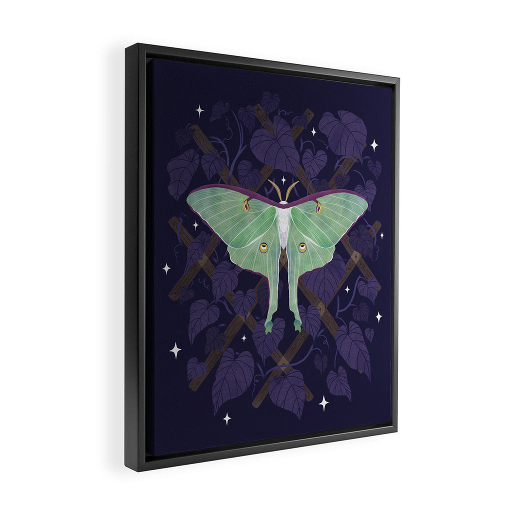 Night Trellis (Luna Moth) Framed Canvas Print Gallery Image 2