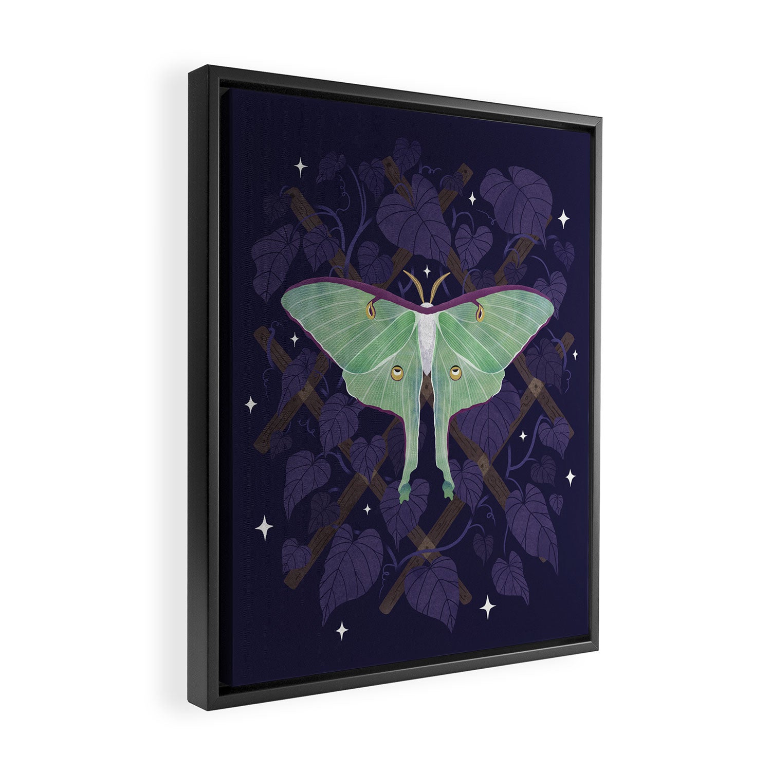 Night Trellis (Luna Moth) Framed Canvas Print Gallery Image 2