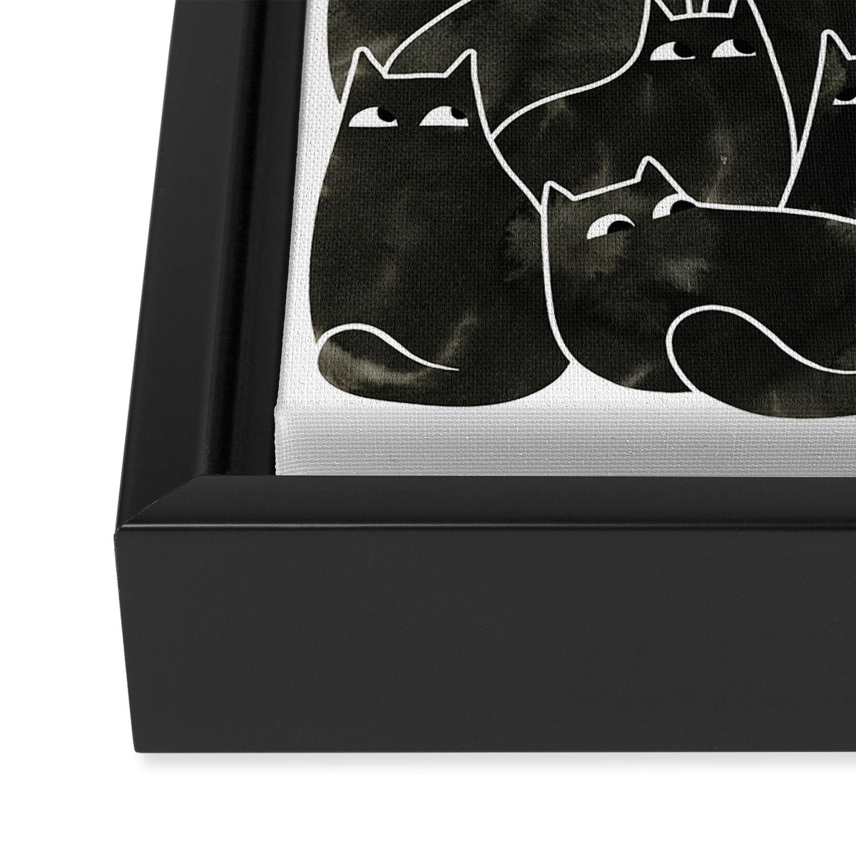 Suspicious Cats Framed Canvas Print Gallery Image 3