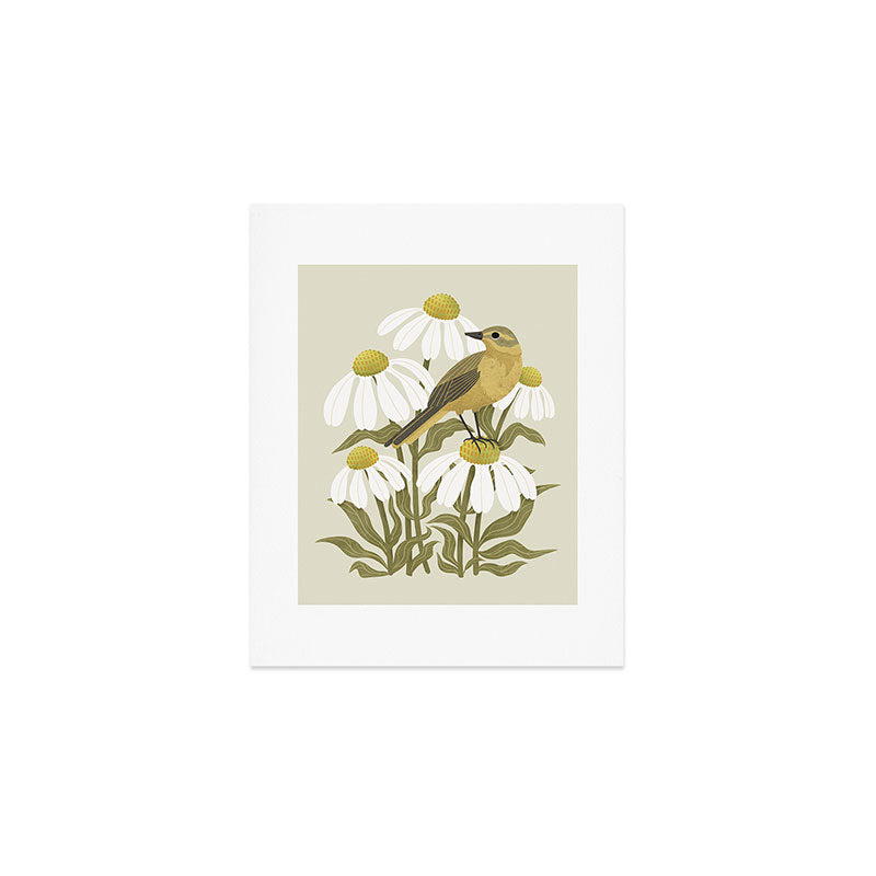 Yellow Wagtail on White Coneflowers  Art Print Gallery Image 1