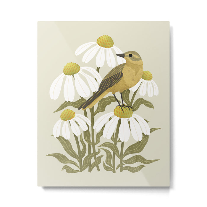 Yellow Wagtail on White Coneflowers  Metal Print Gallery Image 1