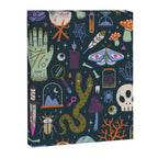 Curiosities Canvas Print Gallery Image 6