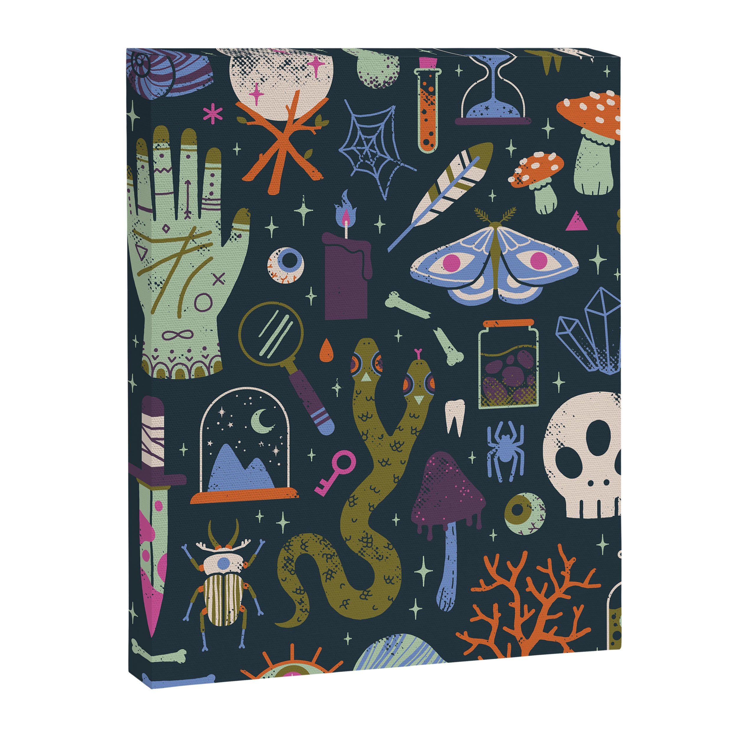 Curiosities Canvas Print Gallery Image 6
