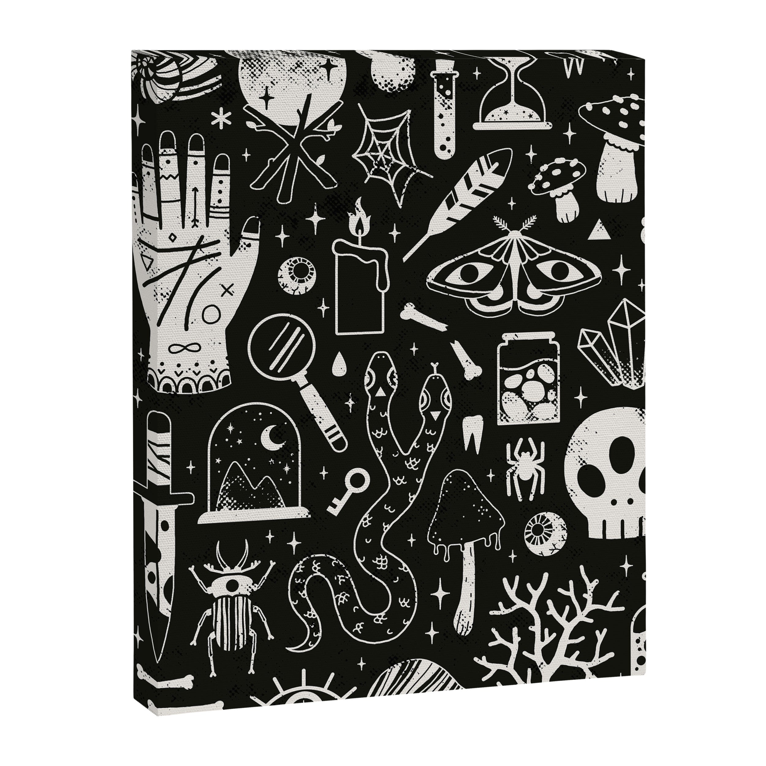 Curiosities: Bone Black Canvas Print Gallery Image 6