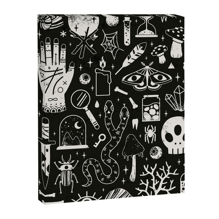 Curiosities: Bone Black Canvas Print Gallery Image 1