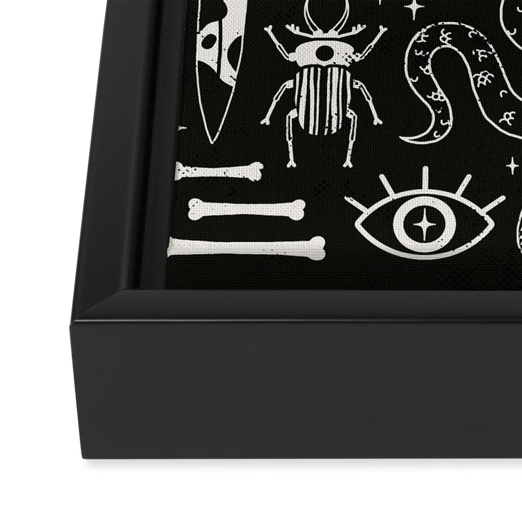 Curiosities: Bone Black Framed Canvas Print Gallery Image 3