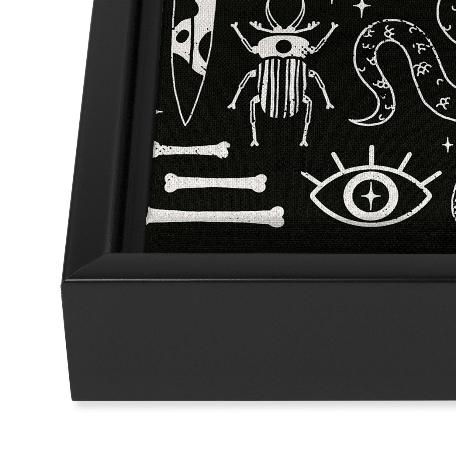 Curiosities: Bone Black Framed Canvas Print Gallery Image 3