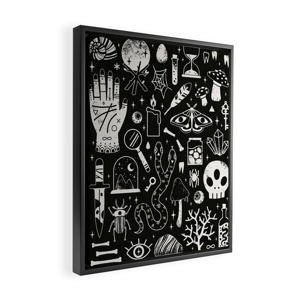 Curiosities: Bone Black Framed Canvas Print Gallery Image 2