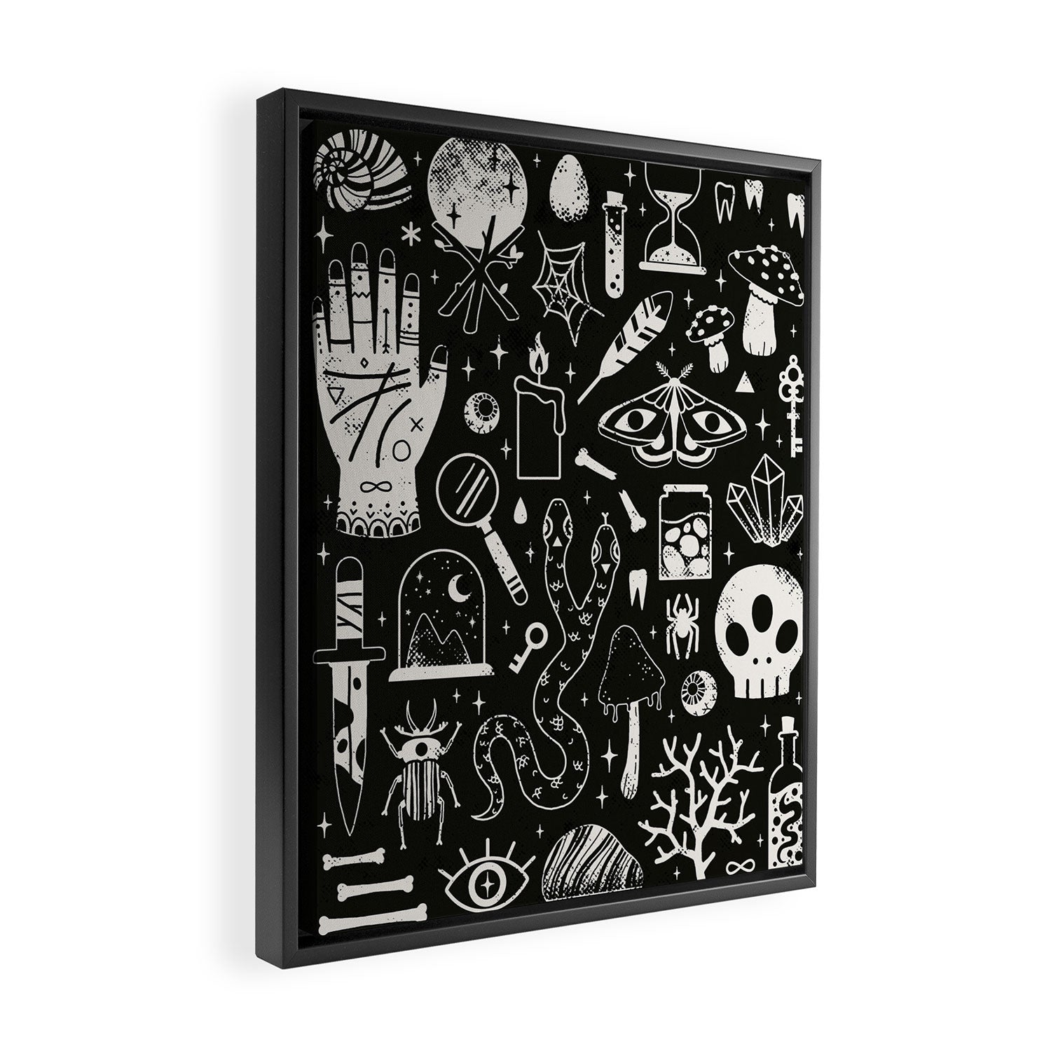Curiosities: Bone Black Framed Canvas Print Gallery Image 2
