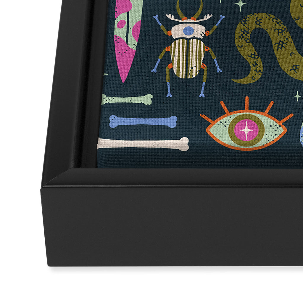 Curiosities Framed Canvas Print Gallery Image 3