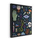 Curiosities Framed Canvas Print Gallery Image 2