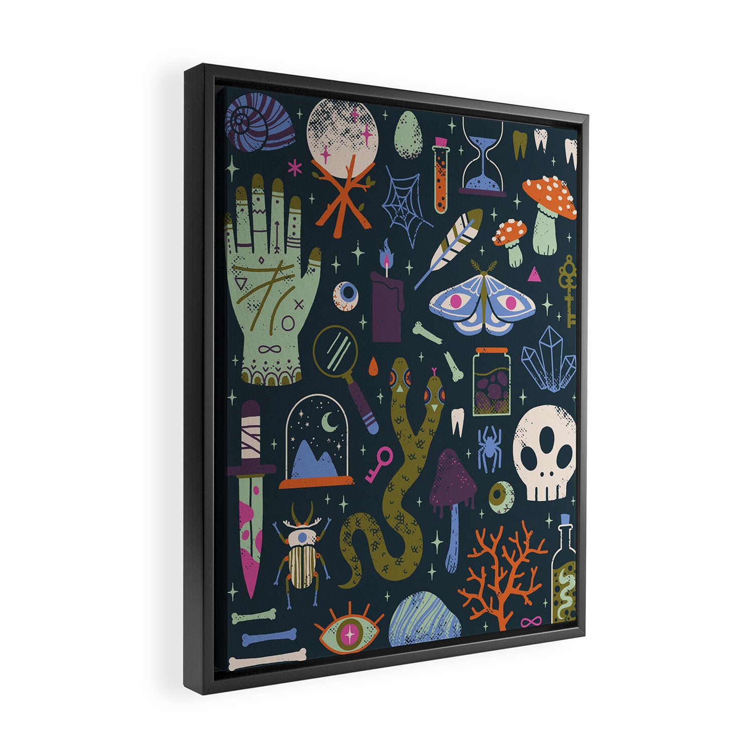 Curiosities Framed Canvas Print Gallery Image 2