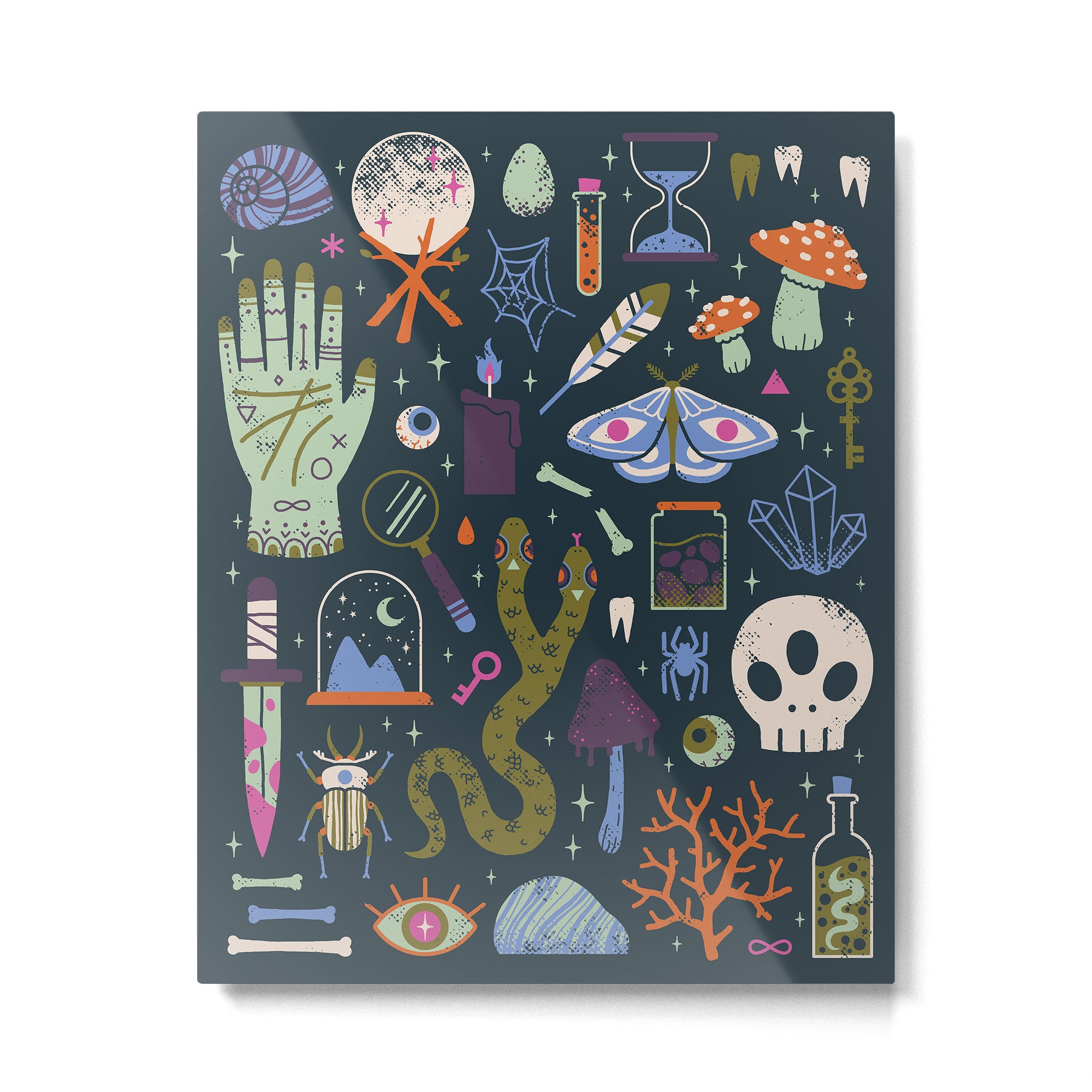 Curiosities Metal Print Gallery Image 4