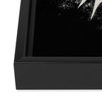 Eclipse Framed Canvas Print Gallery Image 3