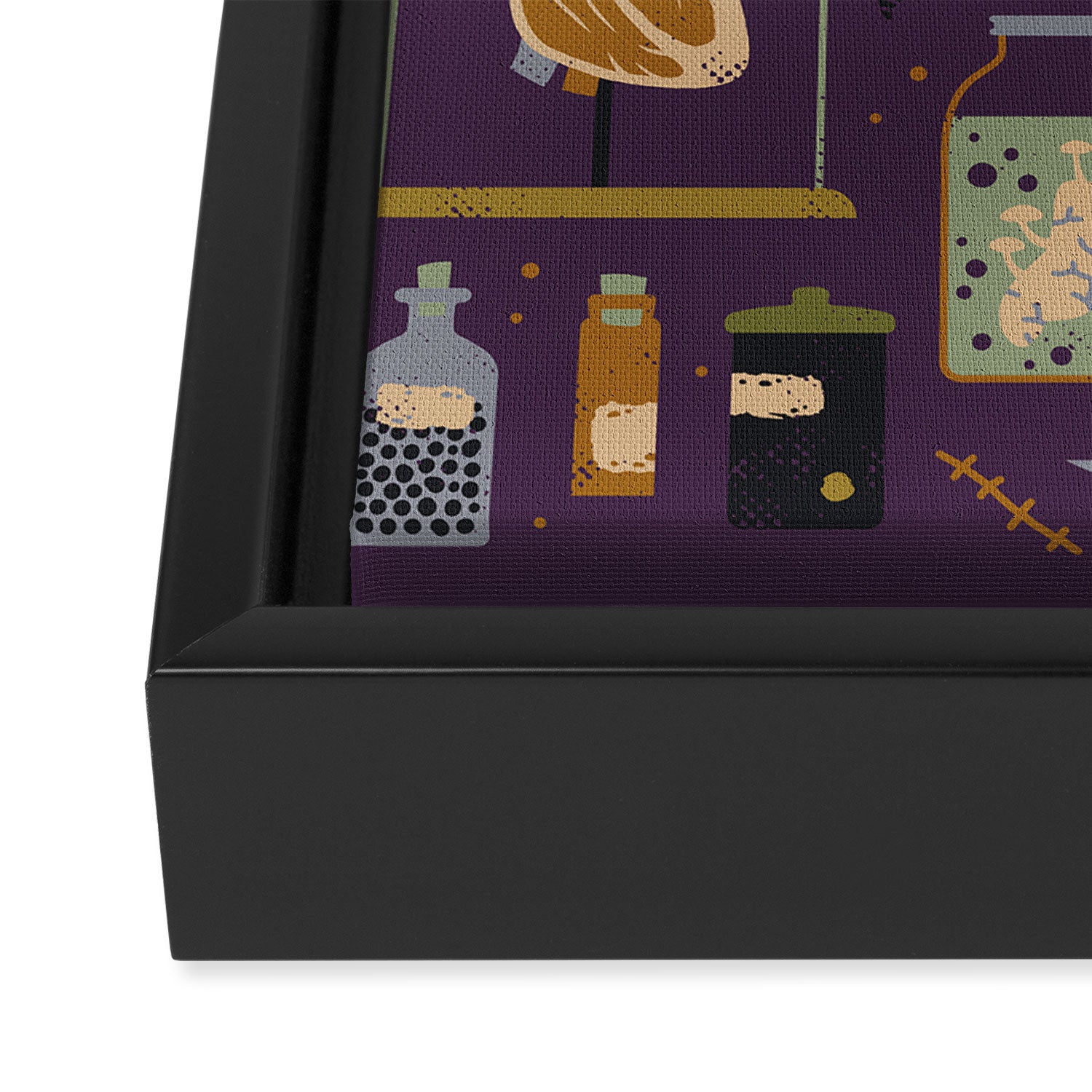 Oddities Framed Canvas Print Gallery Image 3