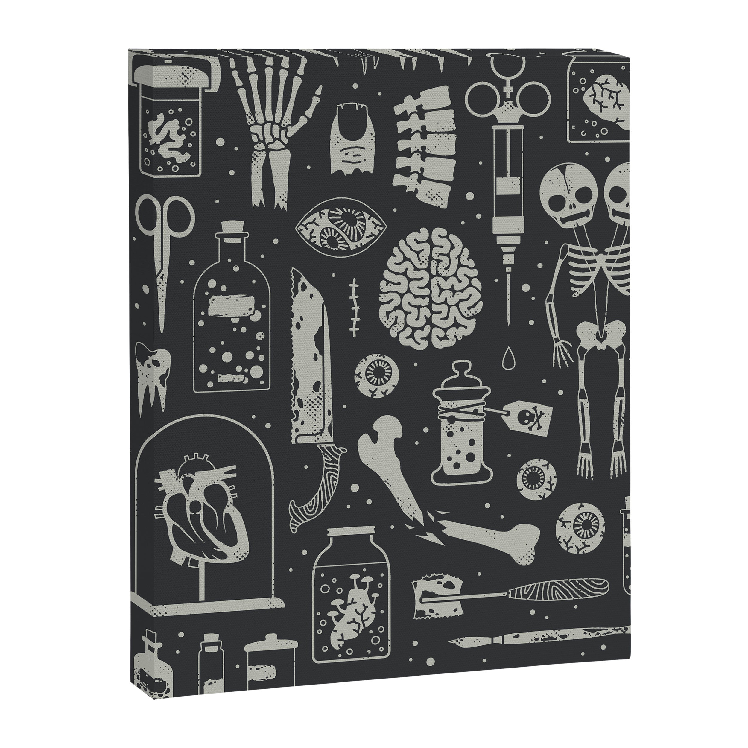 Oddities: X-ray Canvas Print Gallery Image 6