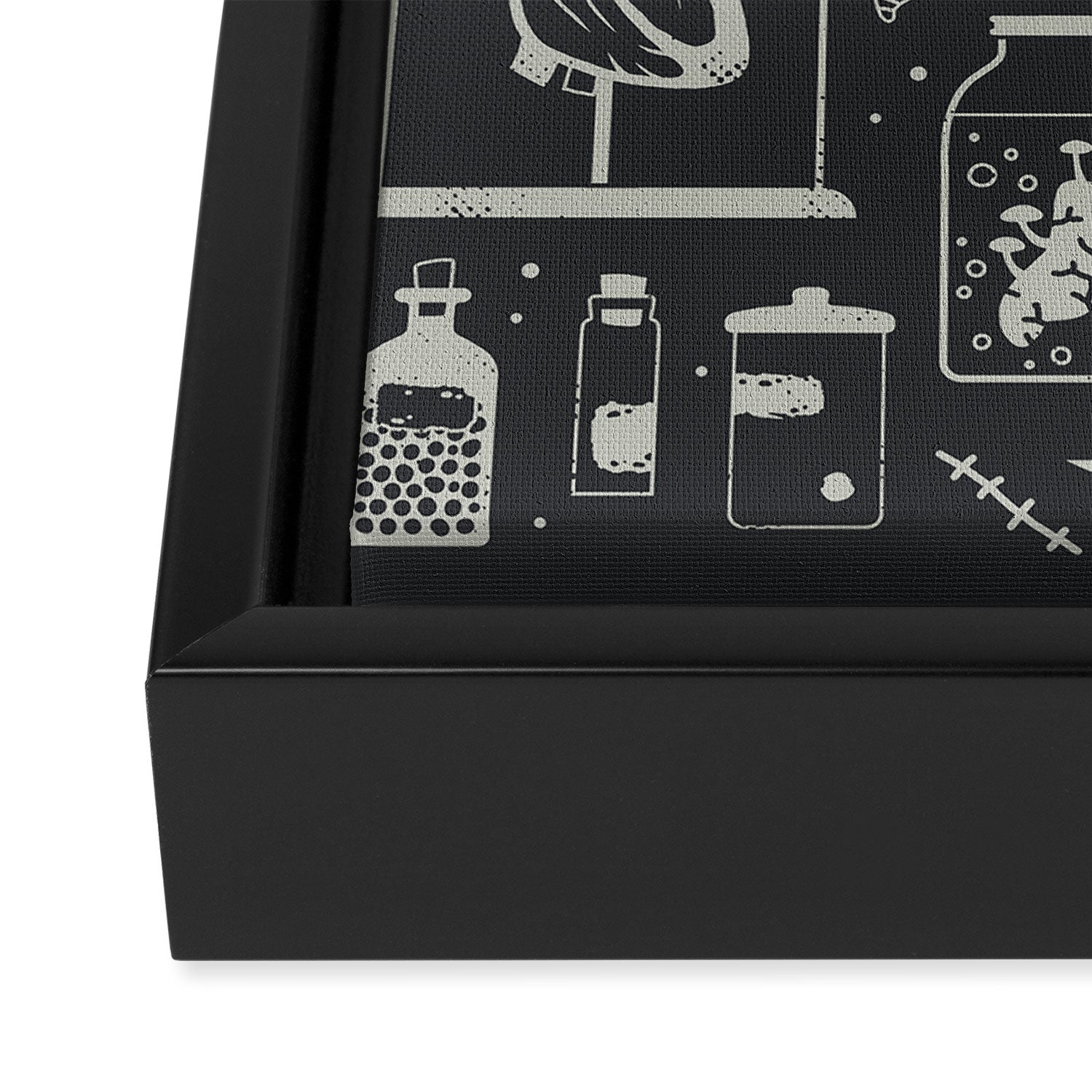 Oddities: X-ray Framed Canvas Print Gallery Image 3