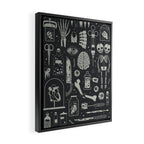 Oddities: X-ray Framed Canvas Print Gallery Image 2