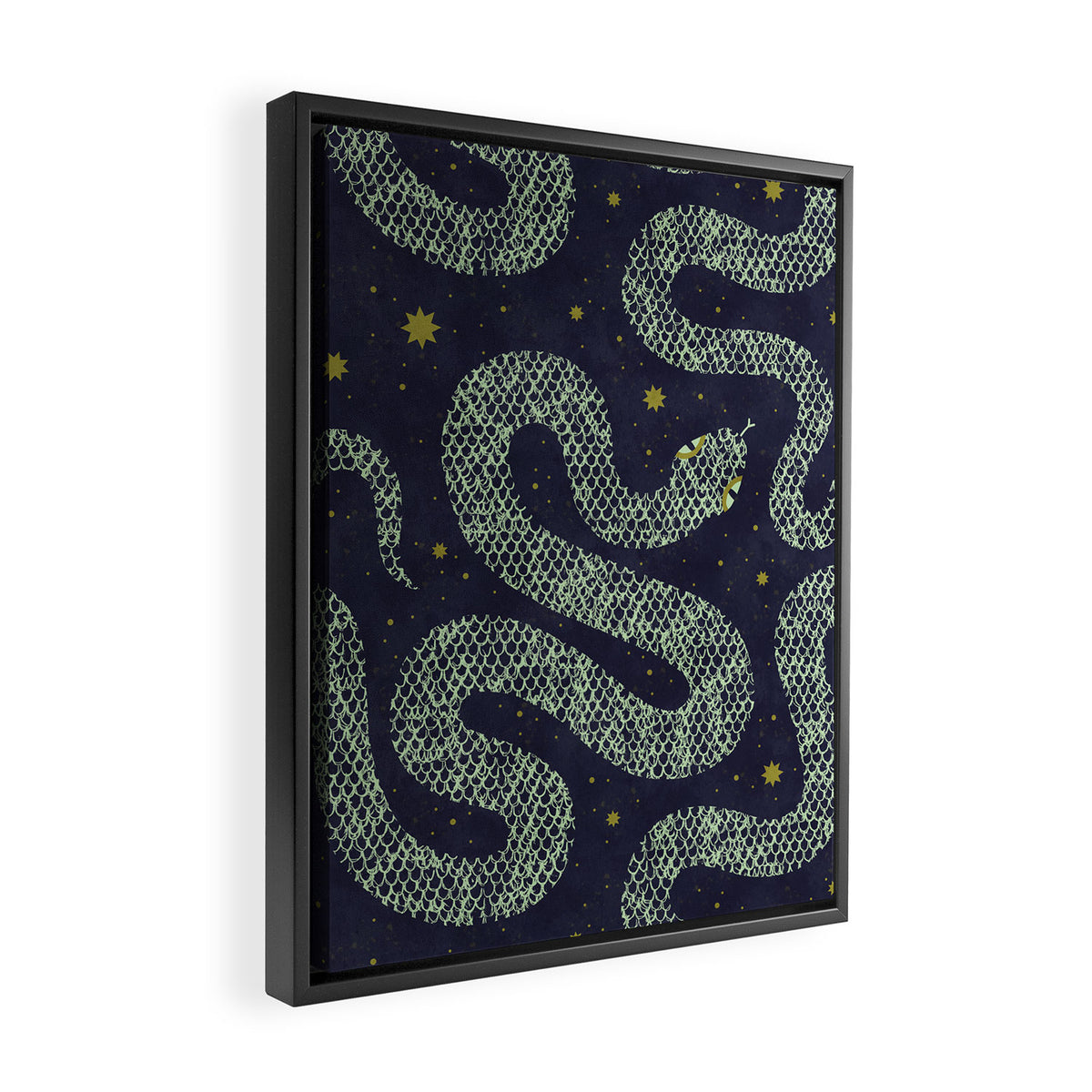 Space Serpent Framed Canvas Print Gallery Image 2