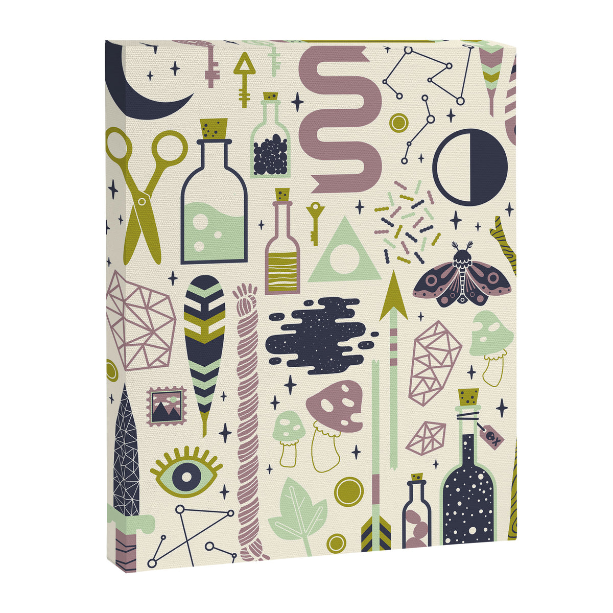 The Witch's Collection Canvas Print Gallery Image 6