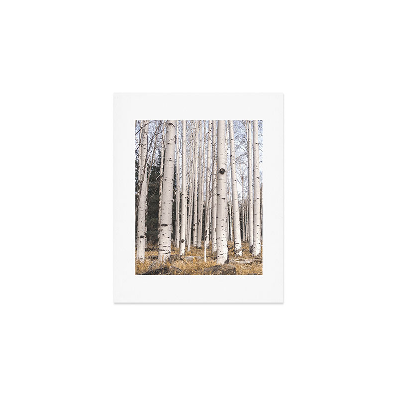 Tall Birch Forest Art Print Gallery Image 1
