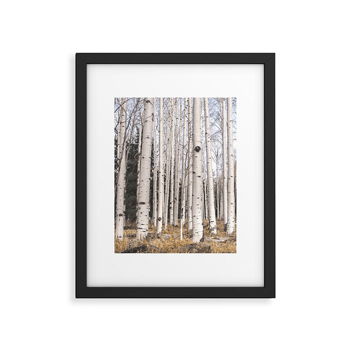Tall Birch Forest Framed Art Print Gallery Image 1