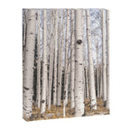 Trees of Reason - Birch Forest Canvas Print Gallery Image 8
