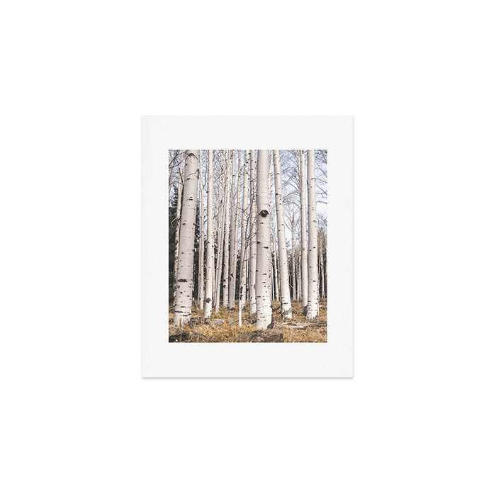 Trees of Reason - Birch Forest Art Print Gallery Image 1
