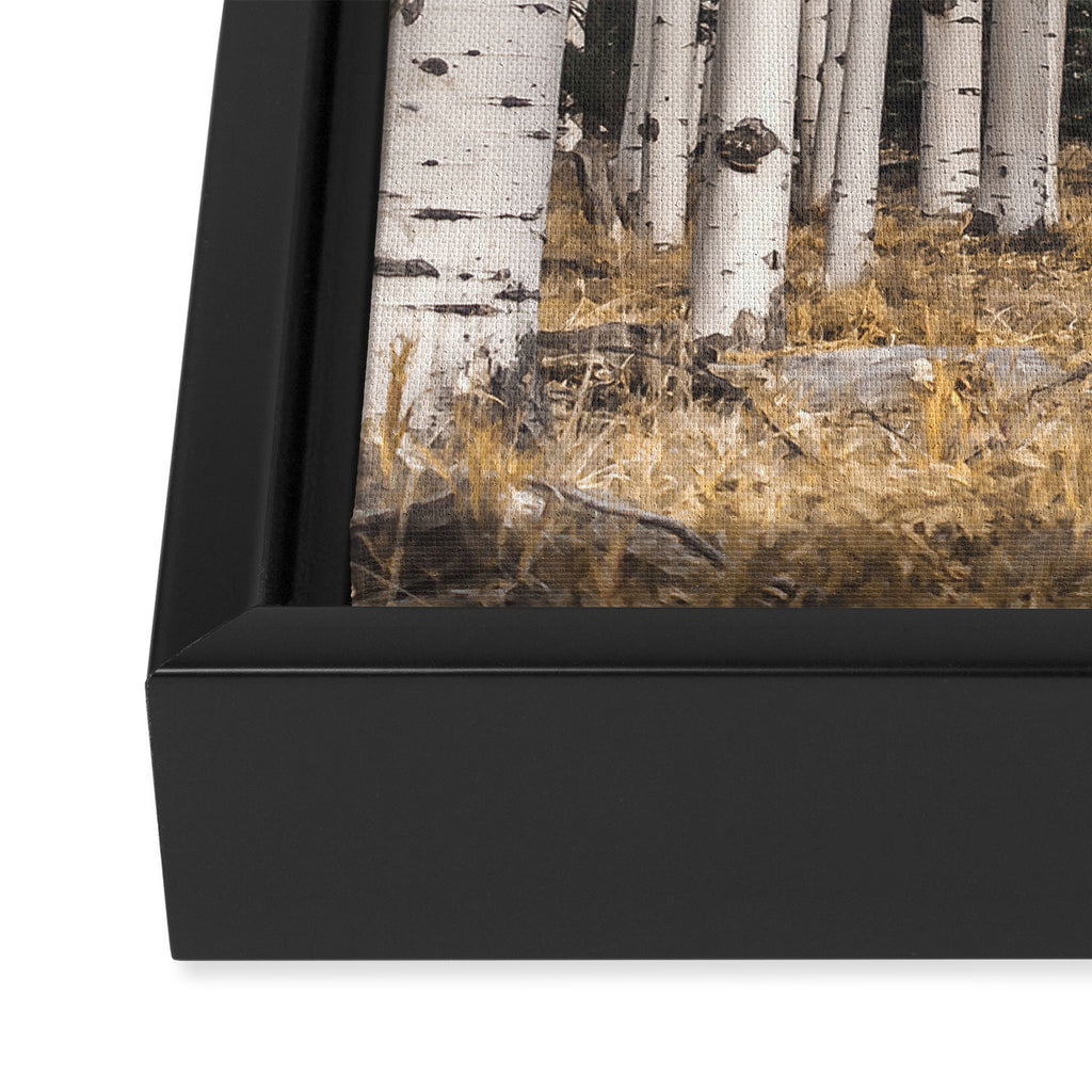 Trees of Reason - Birch Forest Framed Canvas Print Gallery Image 3
