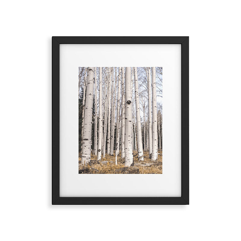 Trees of Reason - Birch Forest Framed Art Print Gallery Image 6