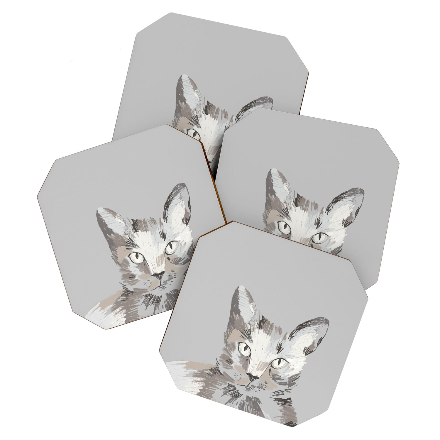 Gray Cat Sketch Coaster Gallery Image 1
